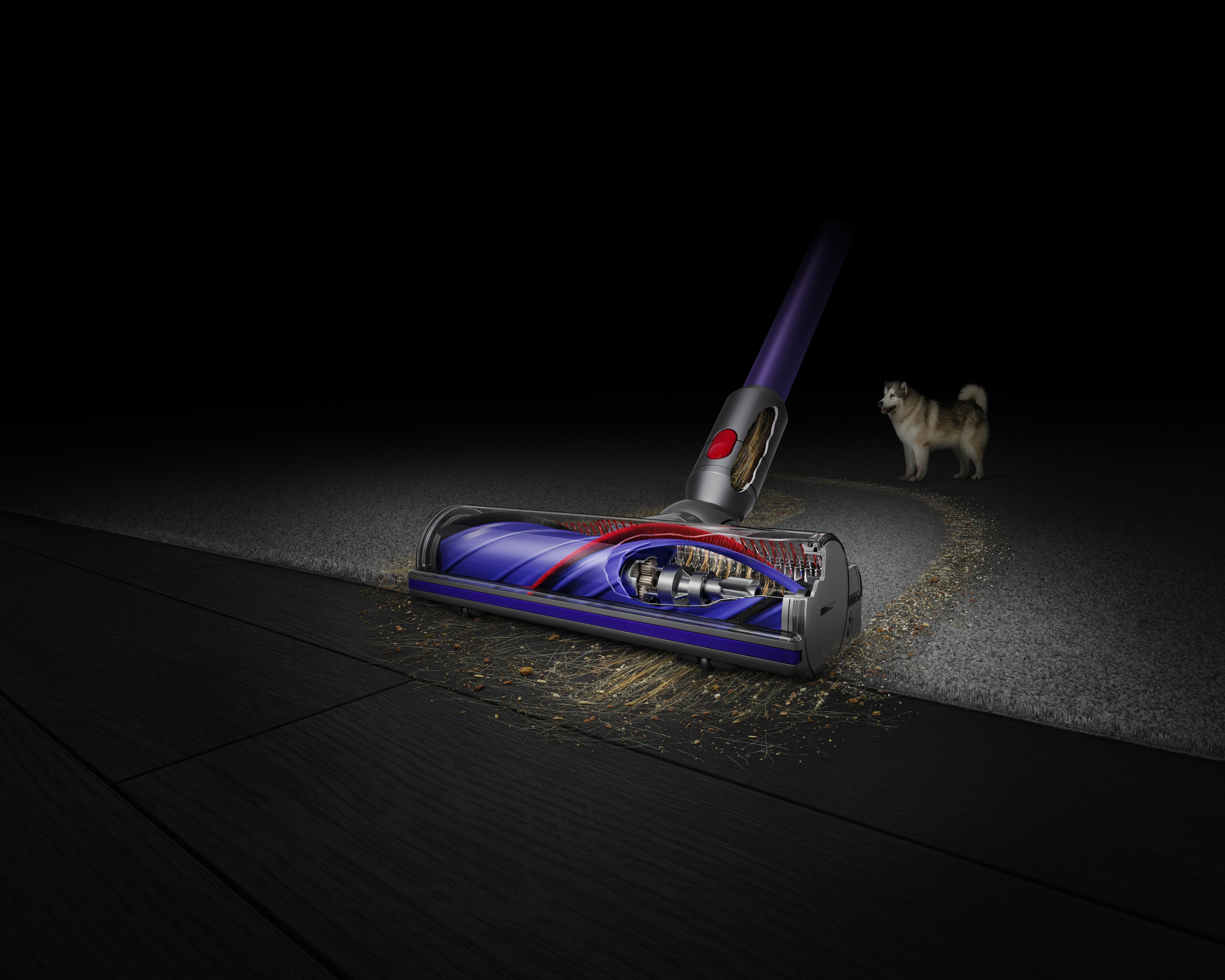 Απεικονίζεται η σκούπα να καθαρίζει τρίχες σκύλου.